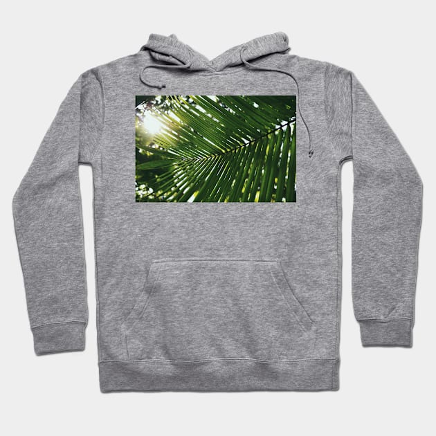 Tropical Palm Leaf Hoodie by NewburyBoutique